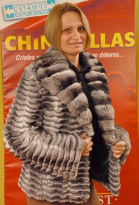 Производитель меха шиншилл в Латинской Америке Raul Lust Chinchillas