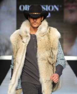 Золотая лихорадка: койот NAFA Northern на волне модной «дикости»