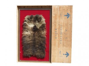 На швейцарском аукционе продан мех снежного человека