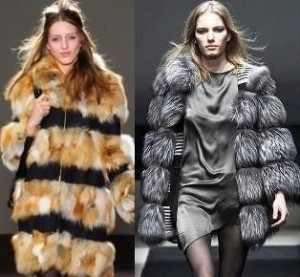 Модные цвета меха зимы 2012