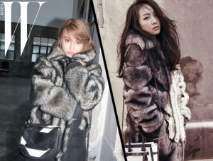 Чья шуба-дубленка лучше, Sooyoung или Виктория?