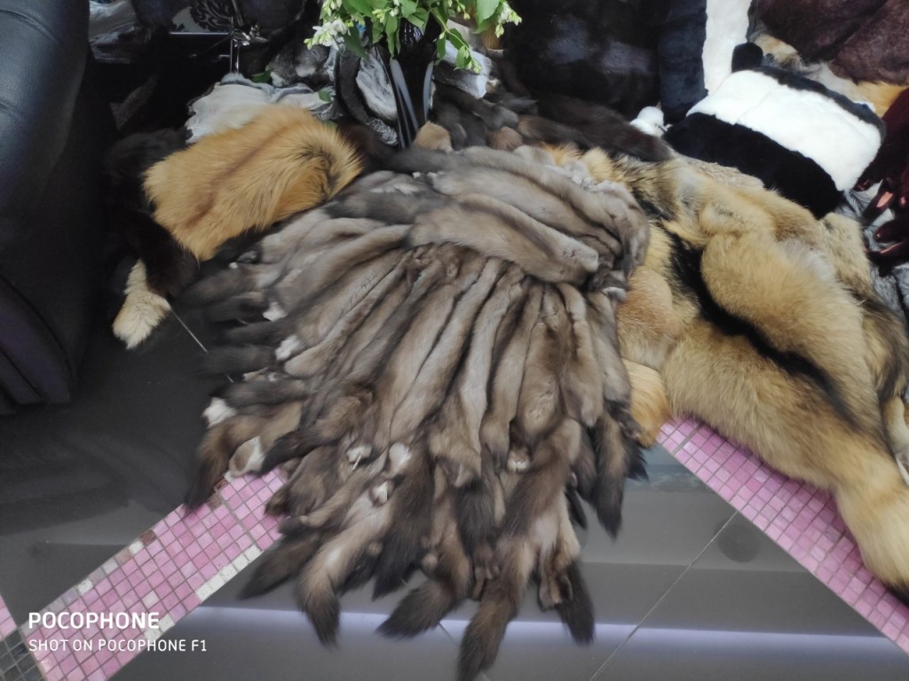 Мех соболя в киевском магазине шуб