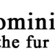 Дизайнерское ателье «Dominik the fur»