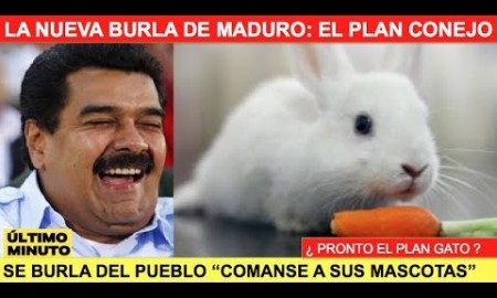 Президент Венесуэлы предложил есть кроликов чтоб спастись от голода
