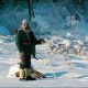 Сибирские охотники не могут продать соболиные шкурки из-за коронавируса