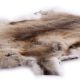 Мех северного оленя признан экспертами эталонным материалом