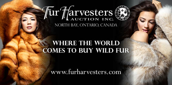 Розклад канадських хутрових аукціонів FUR Harvester на 2023 рік